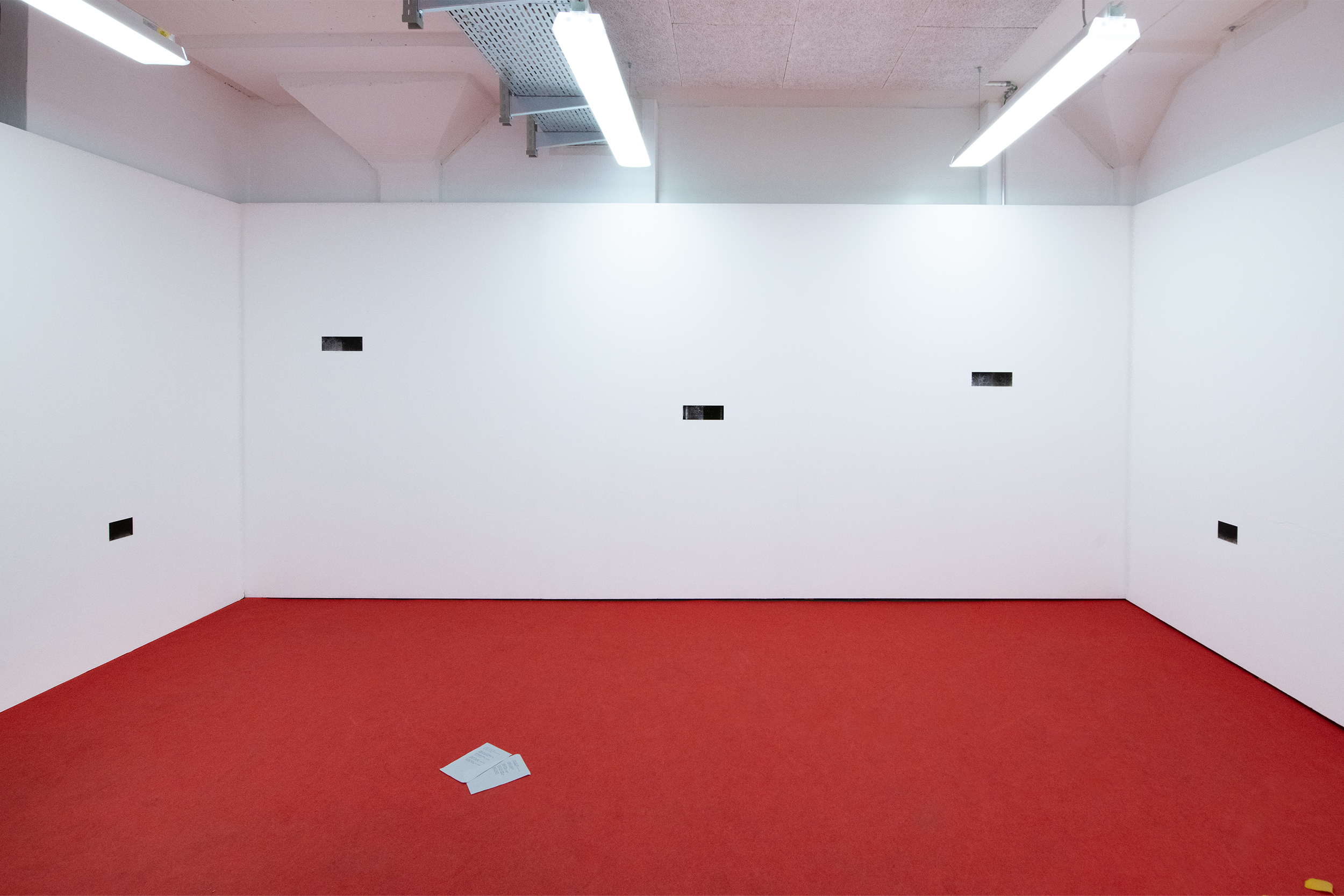 installation view